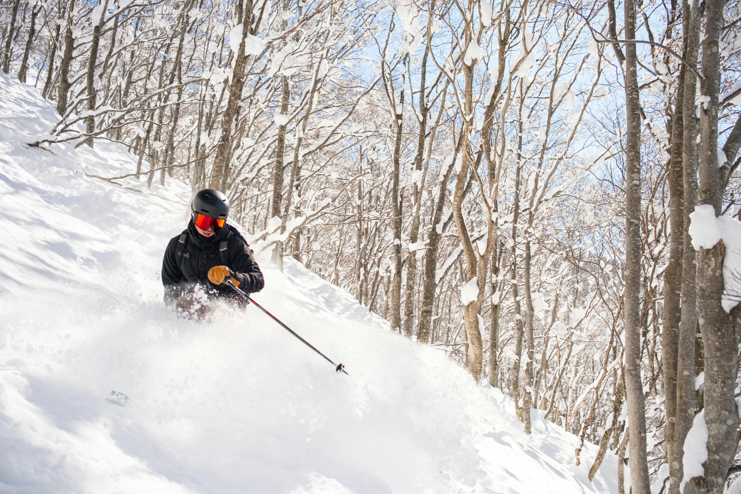 A skier navigates through fresh powder in Japan, surrounded by snow-laden trees.