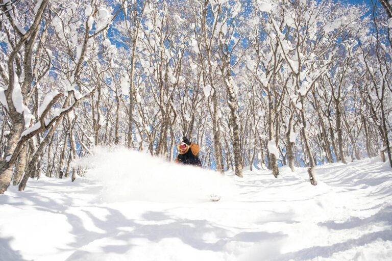 Dynamic shot of a snowboarder in deep snow amidst snow-covered trees in Japan.