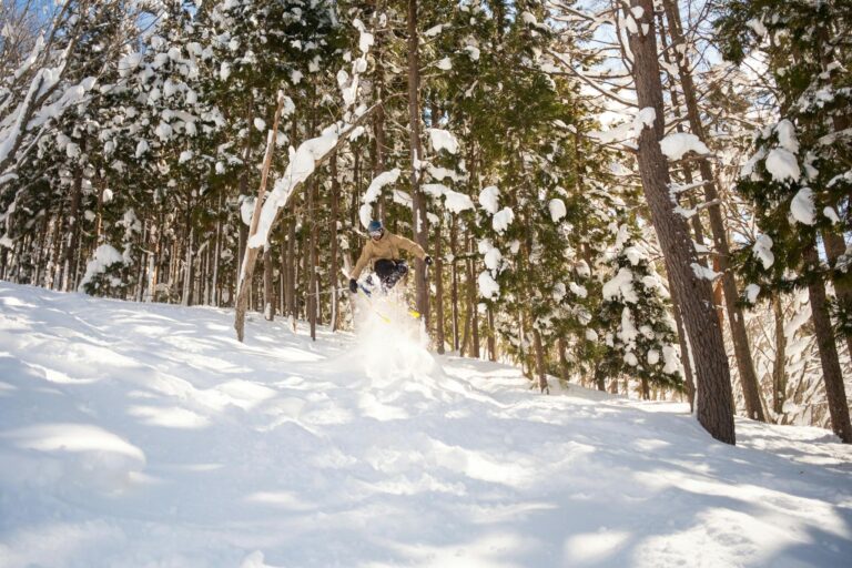 Experience the excitement of skiing through the snow-laden forests of Japan. Perfect for winter sports enthusiasts.