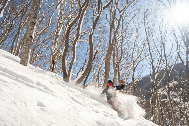Experience the thrill of tree skiing in Japan's winter wonderland.